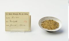 Foto von Gold (NHMW-MIN-Aa2612)